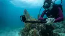 go-pro-hero-13-black-precio-y-caracteristicas.webp